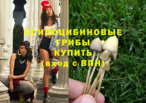 спиды Бронницы