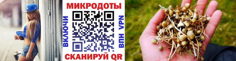 ссылка на мегу зеркало  где купить наркотик  Красный Кут  Галлюциногенные грибы прущие грибы 